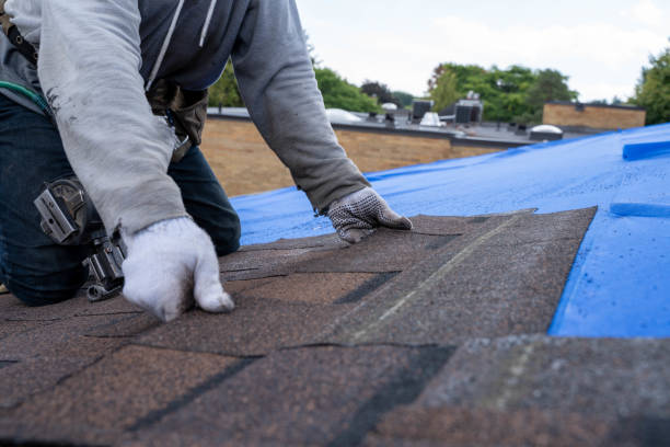 Best Storm Damage Roof Repair  in Allen Park, MI