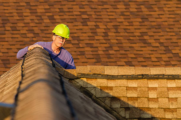 Tile Roofing Contractor in Allen Park, MI
