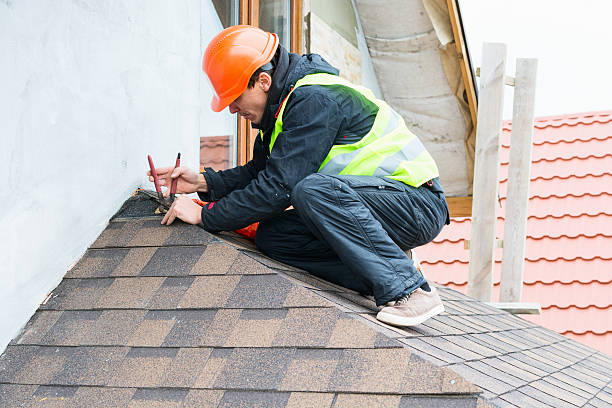 Best Roof Waterproofing Services  in Allen Park, MI